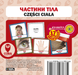 Частини тіла. Набір 17 польсько-українських карток 001859 фото 1