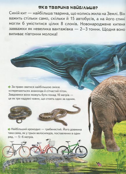 Велика енциклопедія чомусика у запитаннях і відповідях 000520 фото