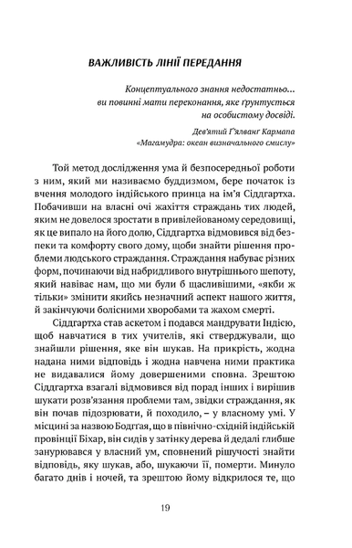 Жити в радість: секрет щастя з погляду буддизму та науки 001271 фото