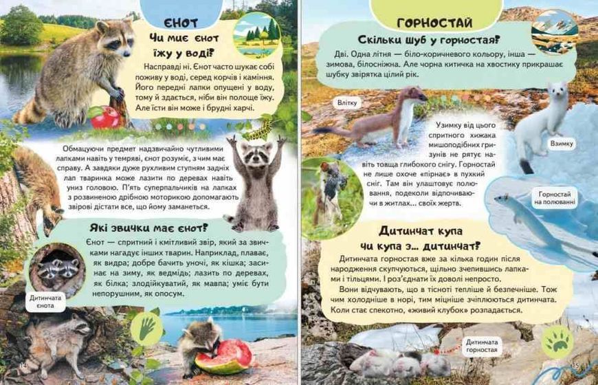 Енциклопедія Дикі тварини