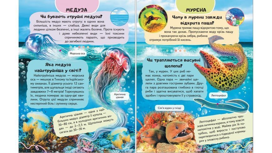 Енциклопедія Водного світу. Від медуз до китів