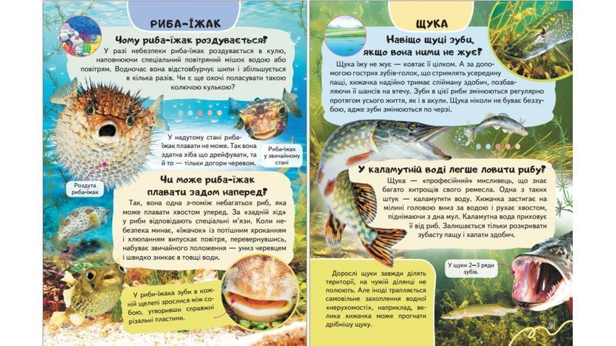 Енциклопедія Водного світу. Від медуз до китів
