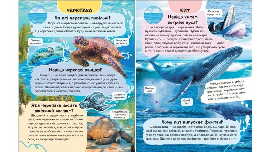 Енциклопедія Водного світу. Від медуз до китів
